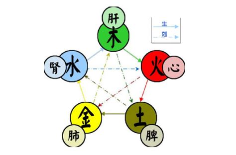 五行 金|五行（对万事万物的取象比类）